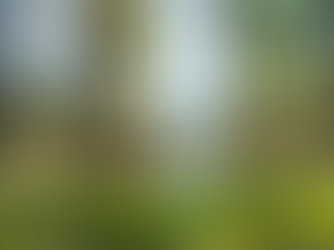 Olvi completes acquisition of mineral water producer Värska Originaal