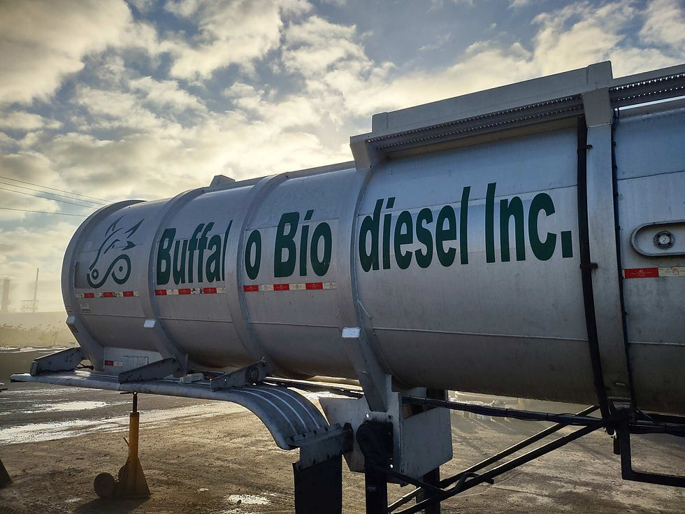 Buffalo Biodiesel secures $300m funding to expand renewable energy operations