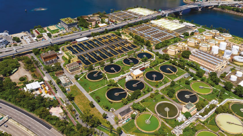 Bioaugmentation: Unlocking clean water goals