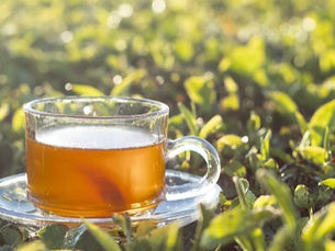 What's holding back traceability in tea and coffee in 2026?