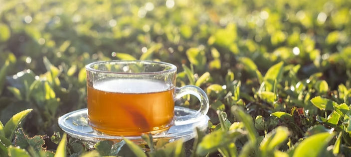 What's holding back traceability in tea and coffee in 2026?