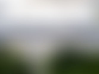 Milo's Tea opens new Alabama distribution centre amid $400m investment programme