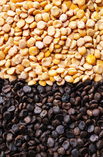Belgian start-up Koppie secures funding to launch fermented coffee alternative